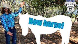 We got a new horse! Rodeo Time 209