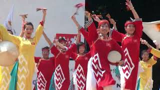 ハノイ1000年よさこい連＠2011　原宿スーパーよさこい