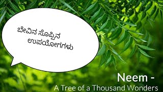 ಬೇವಿನ ಸೊಪ್ಪಿನ ಆರೋಗ್ಯಕರ ಲಾಭಗಳು/neem leaves health benifites