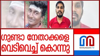 തിരുവള്ളൂരില്‍ ഗുണ്ടാ നേതാക്കളെ വെടിവെച്ച് കൊന്നു  l tamil nadu