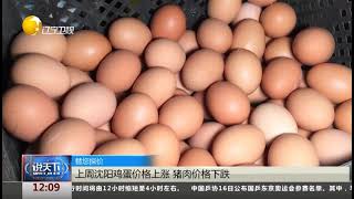 上周沈阳鸡蛋价格上涨，猪肉价格下跌