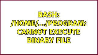 Ubuntu: bash: /home/.../program: cannot execute binary file