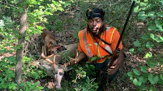 SC Deer Hunting With Dogs 2023| Opening Day 8-19-23 ( Kill shot ) BUCKS ONLY!!