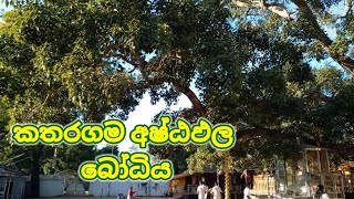 Katharagama Ashta Pala Bodhiya  | කතරගම අෂ්ඨඵල බෝධිය | Katharagama  - Sri Lanka