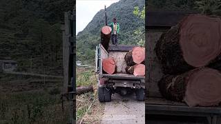 Wood handling and loading - good tools and machinery make work more efficient