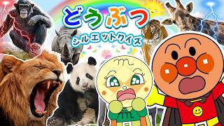 【子供向け動物アニメーション】アンパンマンと学ぼう☆アンパンマン、ばいきんまんと仲間たちが動物園に行って動物について学ぶ60分の動画集☆パンダ、ライオン、トラ、ゾウ、コアラなど人気の動物35種が登場