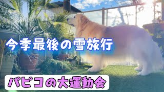 【にーちゃんと思い出の場所へ】今季最後の雪旅行　くるくる綱引き大運動会【生後45日目】