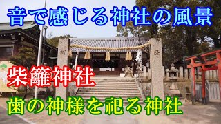 パワースポットめぐり！【歯の神様を祀る神社】