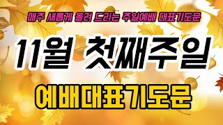 (기도충전) 주일예배대표기도문/11월첫째주기도/예배대표기도/대표기도작성법/학생대표기도/청년대표기도/대표기도문나눔/따라하는기도문/대표기도내용/기도하는법/예배기도