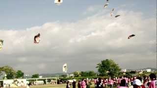 三条凧合戦（さんじょういかがっせん）3 - Kite Battle in Sanjo, Japan.