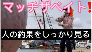 3月6日伊万里湾釣行‼️大漁大漁⁉️サゴシ\u0026マゴチ⁉️