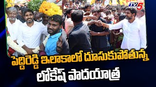 పెద్దిరెడ్డి ఇలాకాలో దూసుకుపోతున్న లోకేష్ పాదయాత్ర Nara Lokesh Padayatra Updates | TV5 News Digital