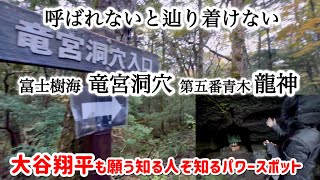 【樹海の龍神様】人生で一度だけ願いを叶えてくれる！呼ばれないと辿り着けない富士樹海の守神 竜宮洞穴 第五番青木龍神 絶対に雨が降る祈りの伝説