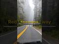 Foggy or Smoke from wildfire. Redwood Highway, US101, Northern California #shorts #Redwood