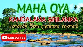 Maha Oya kandalama යන්න වටින ලස්සන තැනක් #srilanka #travel #travelsrilanka #vlog #travelvlog