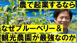 農で起業するなら、なぜブルーベリー観光農園が最強なのか。