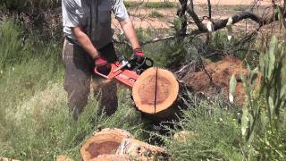 Dolmar 7900 and windblown Eucalypt.mpg