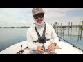 mini mullet got smashed by snook in mangroves redfish shallow