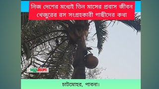 খেঁজুর রস সংগ্রহকারী গাছীদের কথা | খেঁজুর রস || চাটমোহ | পাবনা | সবুজ আলো | datejuice | chatmohar