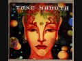 Tane Mahuta - Emamaa