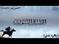 سيره النبويه للحبيب محمد ﷺ - من ولادته الي بدايه الدعوه الجزء الثاني.