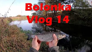 Bolonka Vlog 14 - rzeka Łyna, piękne klenie