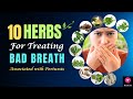 Top 10 Medicinal Herbs for Treating BAD BREATH Associated with Pertussis | #badbreath | Blissed Zone