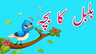 Bulbul Ka Bacha Urdu Poem | بلبل کا بچہ | Urdu Nursery Rhyme Collection for Small Babies