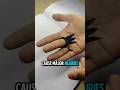 The Deadly Ring That Could Kill With a Single Scratch