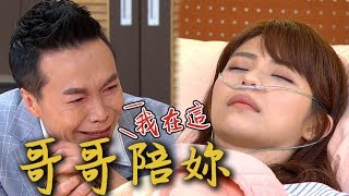 炮仔聲│EP334 永琪一直昏迷不醒 永誠崩潰大哭  The Sound Of Happiness│ Vidol.tv