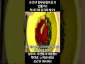 금동이할매 초간단 열무겉절이김치 만들기 열무의 시원함과 매콤함을 제대로 느껴보세요