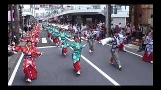 TACYON　～2017高知よさこい祭り・本祭1日目(愛宕競演場・その2)