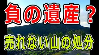 山林の買い手を探そう【不動産処分】