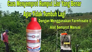 Cara Menyemprot Rumput Liar Yang Benar Menggunakan Farmfosate dan Alat Semprot Manual