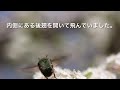 ハナムグリの効率のいい飛び方