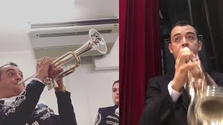 Así toca el Maestro Agustín Sandoval (Gran técnica) 🎺🔥