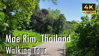 【4K】Mae Rim, Thailand Walking Tour | Akha Ama Coffee to Wat Sawang Pet (แม่ริม เชียงใหม่)