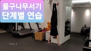 단계별 물구나무서기! Handstand!