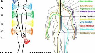 Chakra and Meridian lines