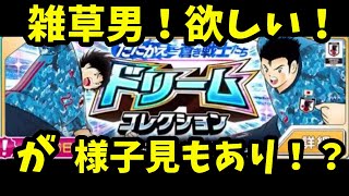 たたかえドリームチーム#538 曽我　井川！ドリコレ開幕！引くか否か！？