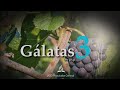 Gálatas 3 - Reavivados por Sua Palavra #rpsp #bíblia