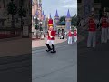 شاهدوا كيف يبدو بينوكيو الحقيقي disney_world pinokeo