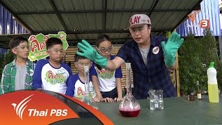 คิดวิทย์ Science Yard : สารฟองฟู่  (25 มิ.ย. 59)