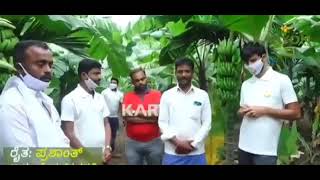 KARYON banana information 9972964353