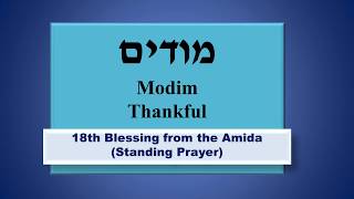 Thankfulness!  18th Blessing from the Amida (Standing Prayer)