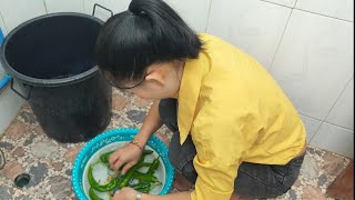 573：我全买佳妹子的四季豆，让她早点回家休息