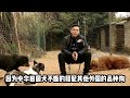 国产土狗“大战四方”中华田园犬“暴打”国外猛犬