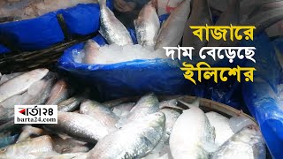 সবজির বাজার স্থিতিশীল, দাম বেড়েছে ইলিশের | Barta24.com