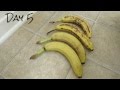 How I Keep Bananas Fresh Longer How I Keep Bananas Fresh Longer