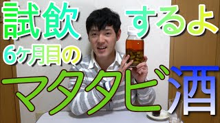 6ヶ月目のマタタビ酒を試飲しました!!